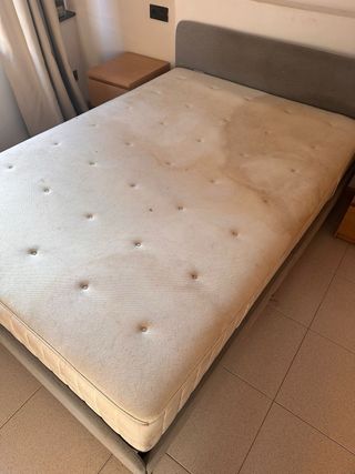 Limpieza de sofá, colchón, alfombra