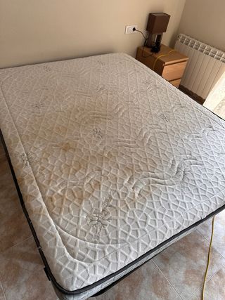 Limpieza de sofá, sillas, colchones