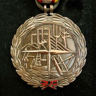 Medalla al Mérito Sindical