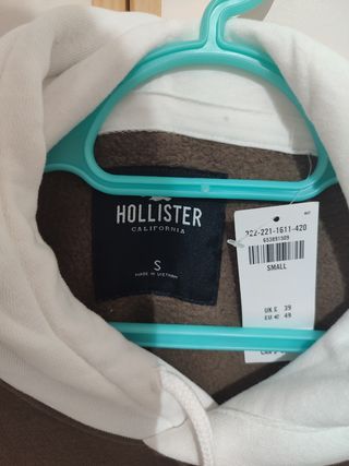 Hollister 