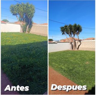 Jardinero arreglo de jardines