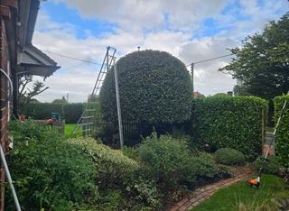 Jardinero económico