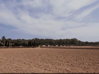 Terrenos fincas
