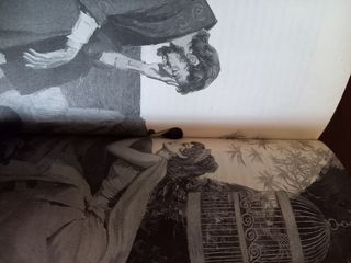 Il viaggio di Ulisse