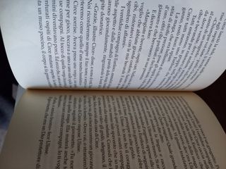 Il viaggio di Ulisse