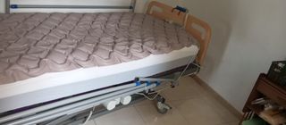 Cama