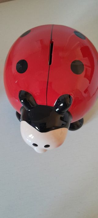 salvadanaio di porcellana coccinella con scatola