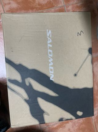 Botas ski. 24.5 cm