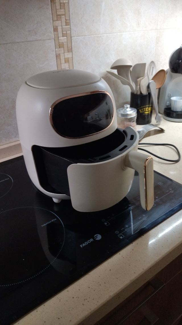 Freidora de aire Taylor Swoden.