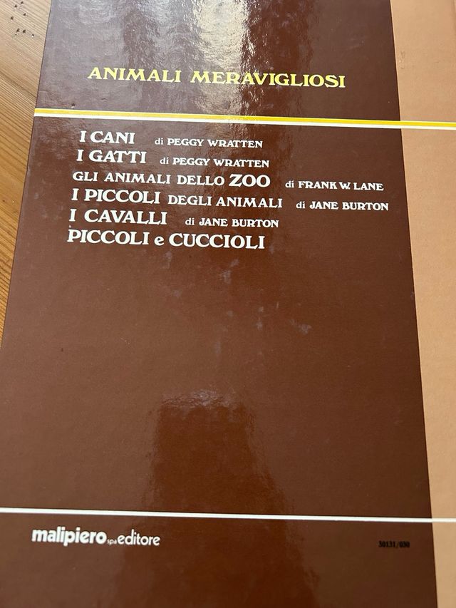 Gli animalo dello zoo