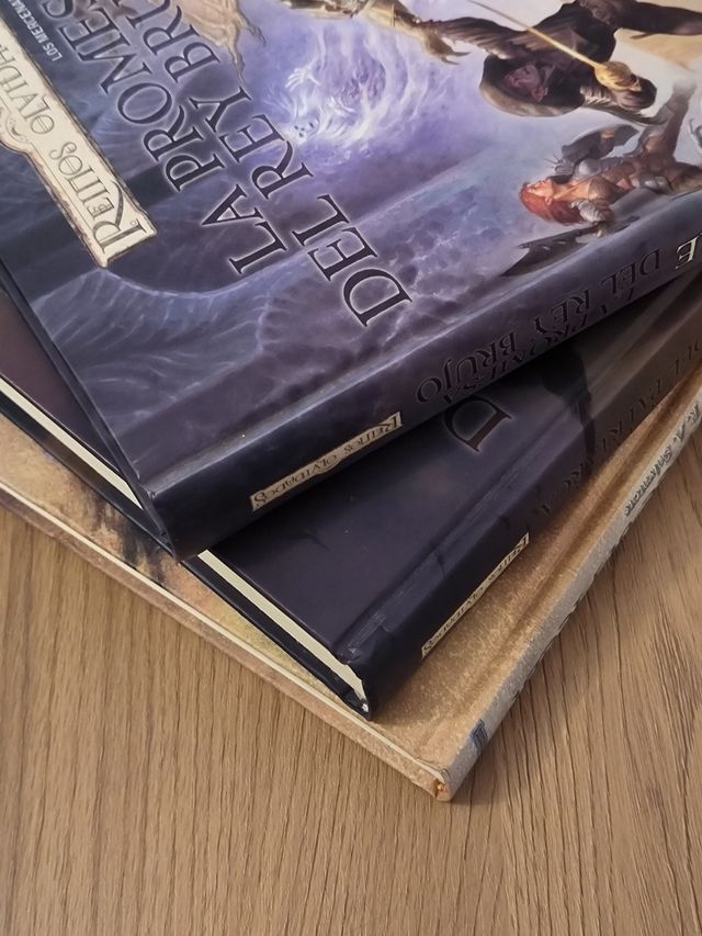 Los mercenarios. Reinos olvidados. Salvatore 