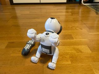 Perro inteligente por radio control