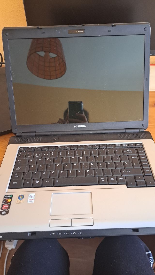 Toshiba L300 Portatil
