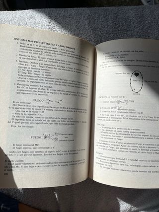 Fisiopatologia y tratamiento en medicina china