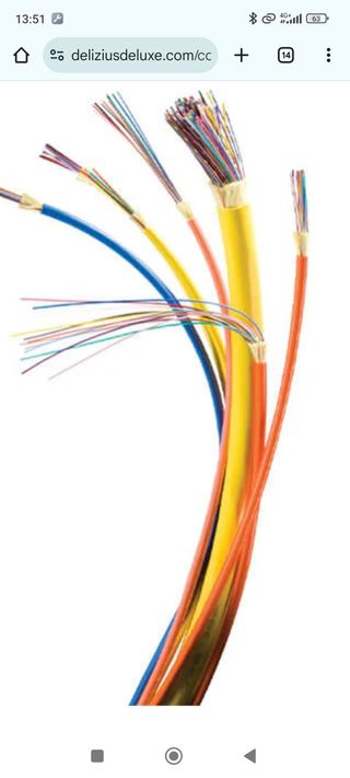 Inst de fibra 