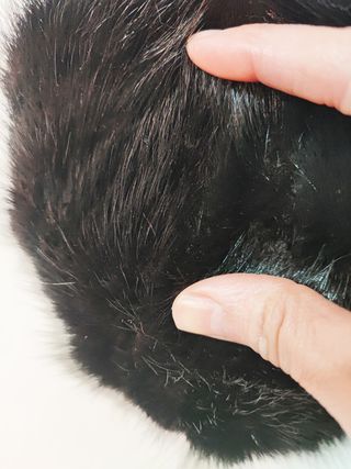 La Siberia Peletería/ Gorro vintage de piel negro