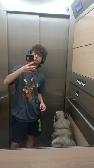 Paseador de perros