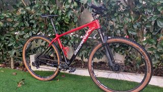 Bicicleta carbono 29