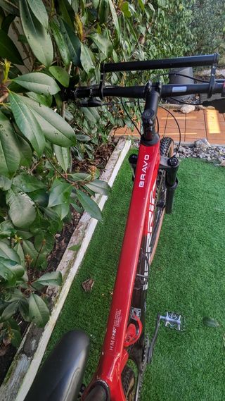 Bicicleta carbono 29