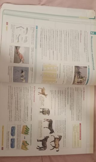 (1BIOLOGIA I GEOLOGIA BATX) AULA 3D