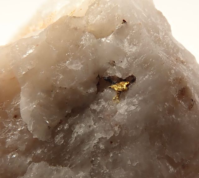 Mineral. Oro nativo en cuarzo