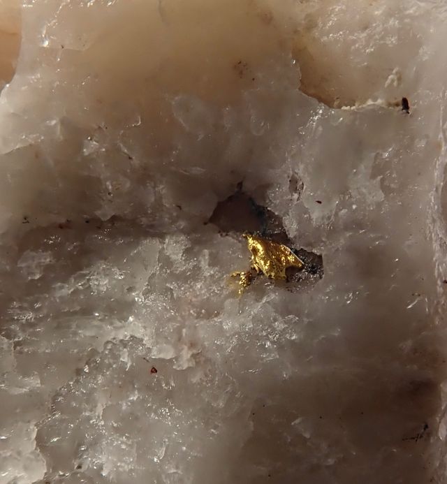 Mineral. Oro nativo en cuarzo