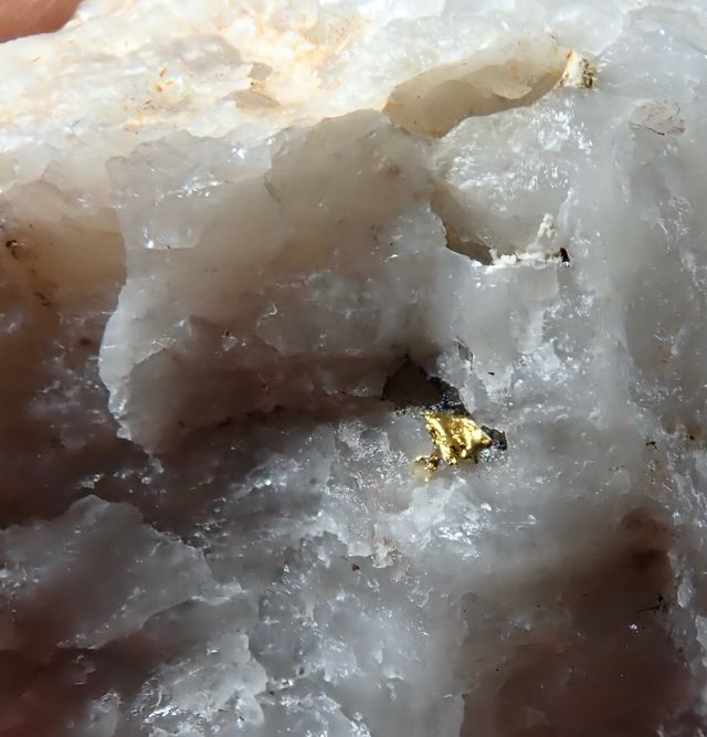 Mineral. Oro nativo en cuarzo