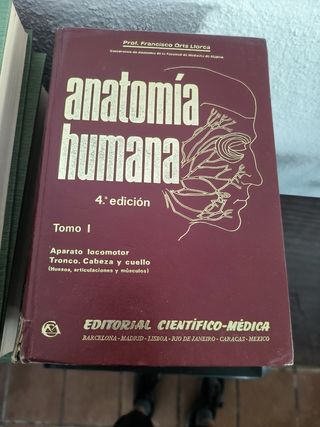 Anatomía humana