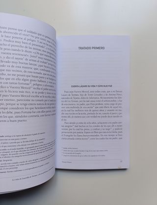 Novela picaresca. Siglos XVI-XVII.