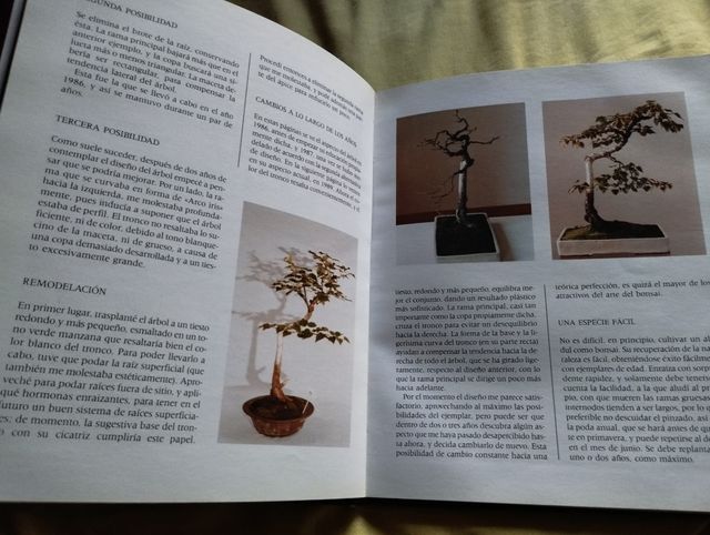Libro de bonsai técnicas y cultivo