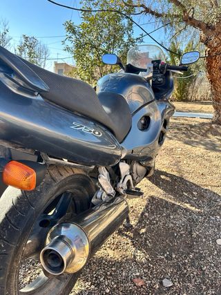 Suzuki GSX750F