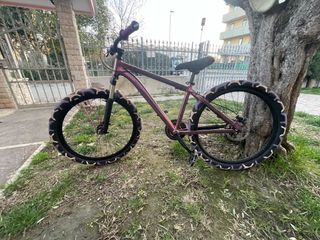 Wheelie bike custom 26
