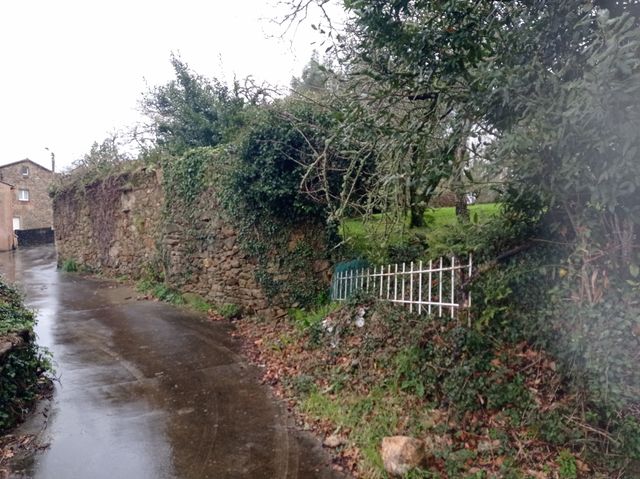 Terreno rustico alquiler