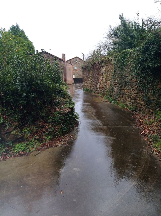 Terreno rustico alquiler