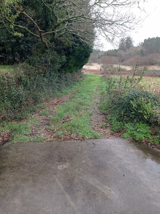 Terreno rustico alquiler