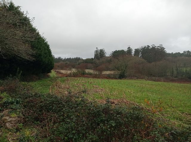 Terreno rustico alquiler