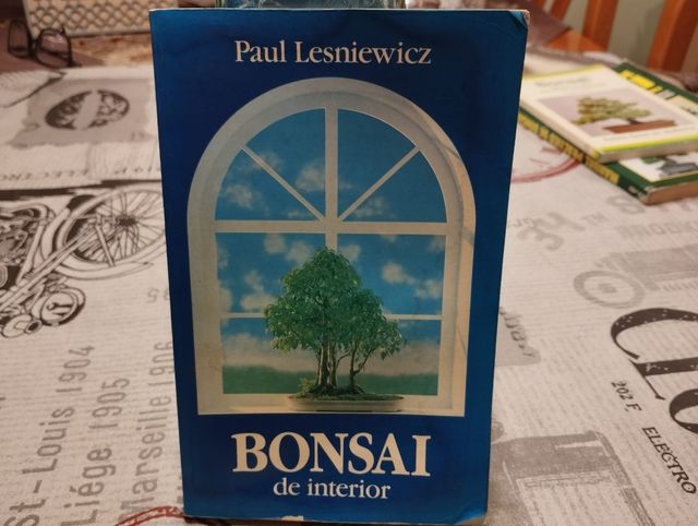 BONSAI DE INTERIOR