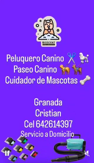 Peluquero canino y paseador a canino a domicilio