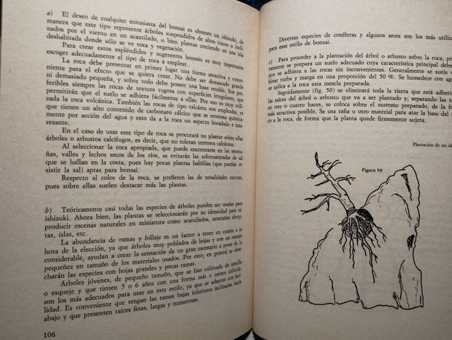 Manual práctico de bonsai