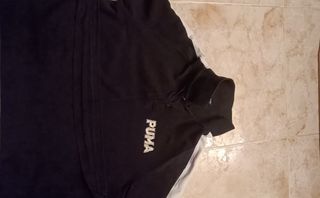 Puma polo