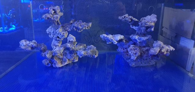 Coralero más roca viva aquascaping....