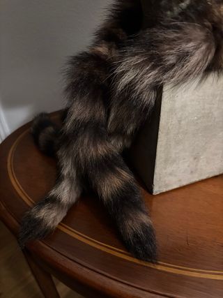 Bufanda de colas de mapache 