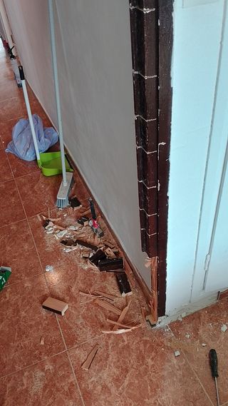 Carpintero económico