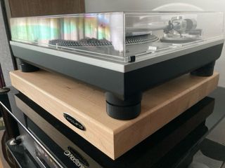 Isoacoustics Delos Maple
