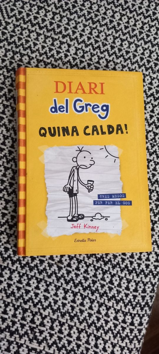 Diari del Greg 4. Quina calda!: Tres mesos per fer el gos