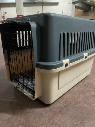 Transportin perro mediano homologado para viajes 
