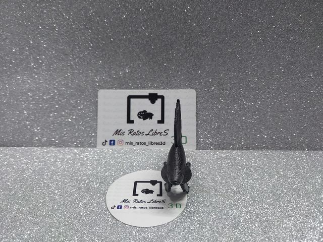 Betta Cola de Corona 