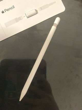 Apple Pencil 1ª generación con funda magnética