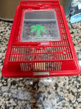 Mini pecera transportin tortugero