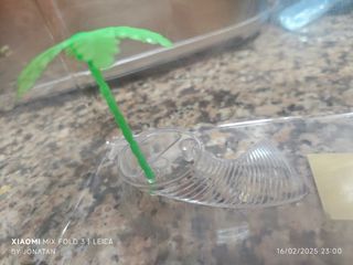 Mini pecera transportin tortugero